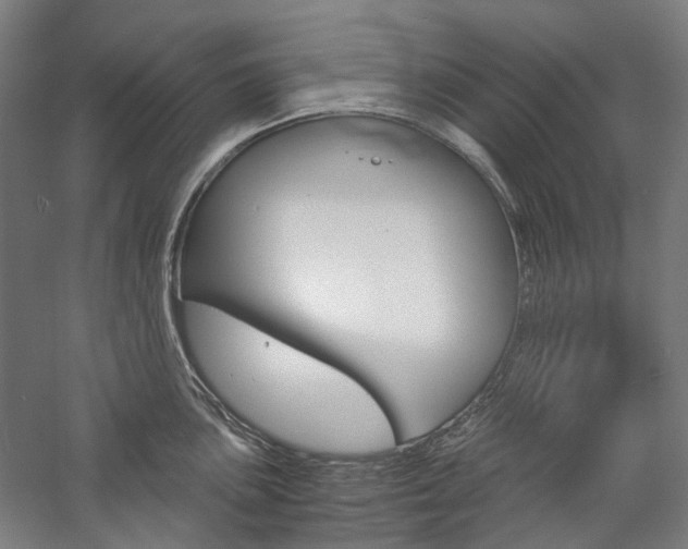 X0000057041051200509090811