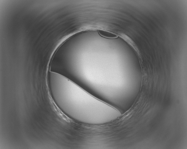 X0000057041052200509090811