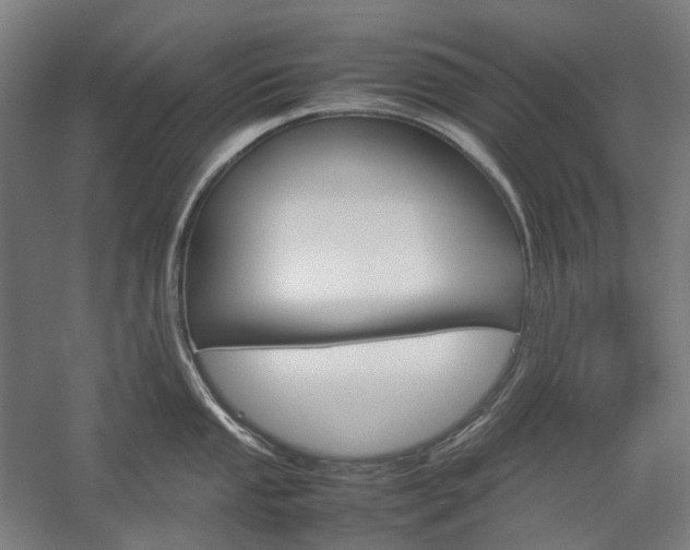 X0000057041053200509090811