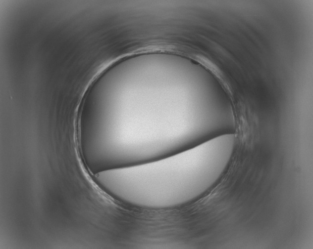 X0000057041055200509090811