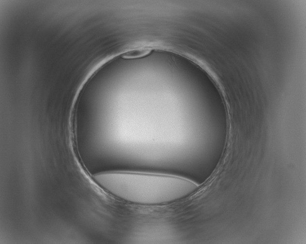 X0000057041056200509090811