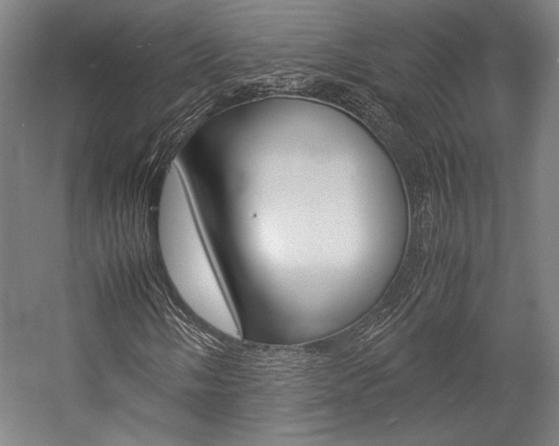 X0000057041058200509090810