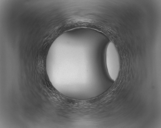X0000057041061200509090810