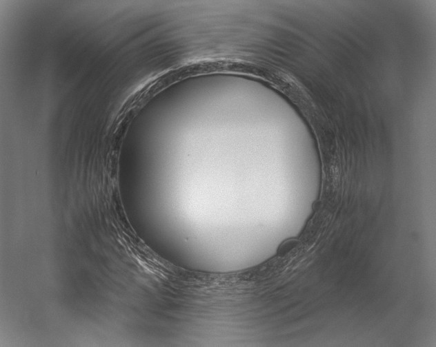 X0000057041064200509090810