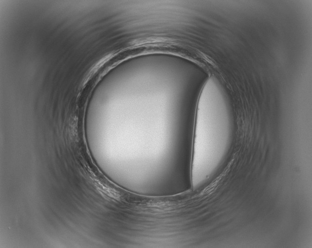 X0000057041066200509090810