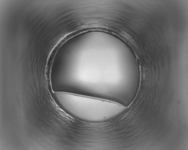 X0000057041068200509090810