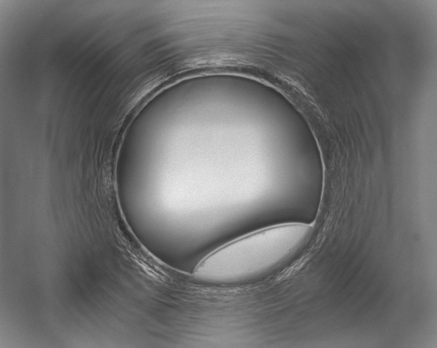 X0000057041073200509090810