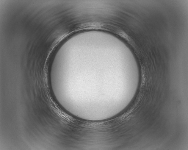 X0000057041074200509090810