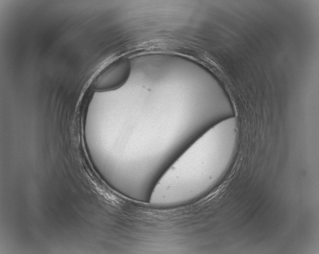 X0000057041075200509090810