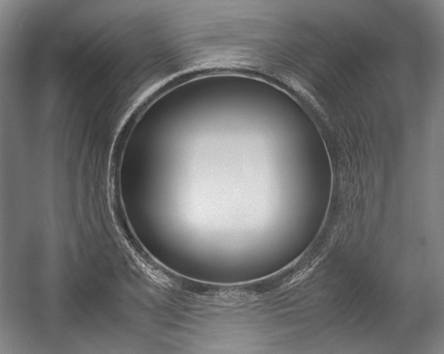 X0000057041077200509090810
