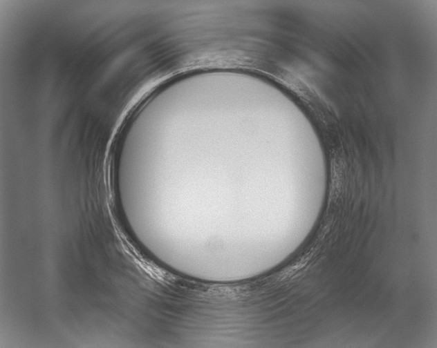 X0000057041078200509090810