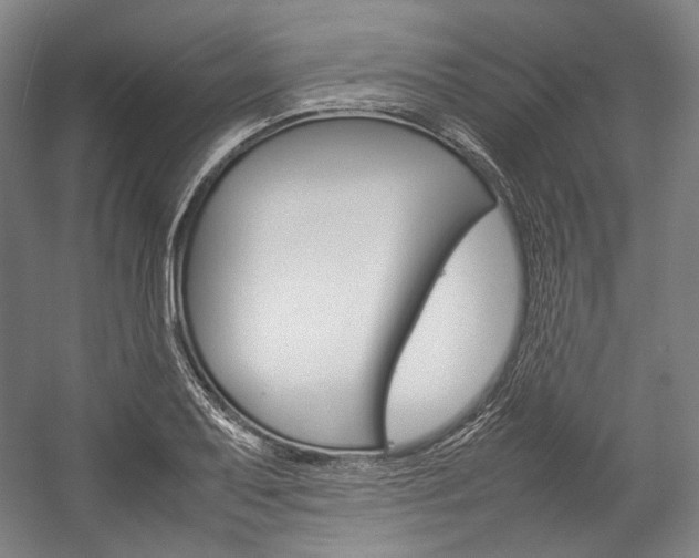 X0000057041079200509090810
