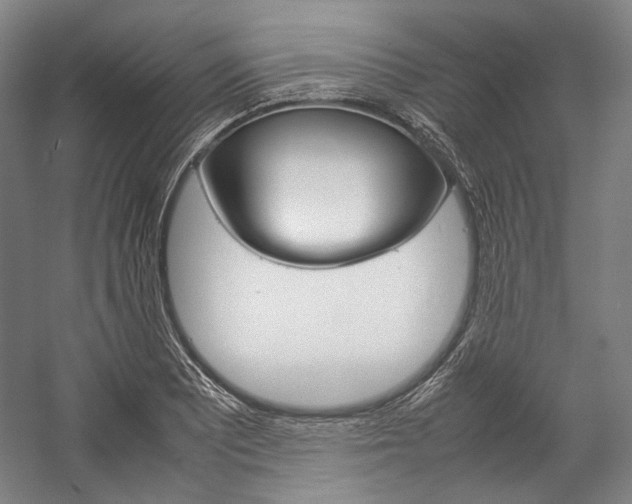 X0000057041081200509090810