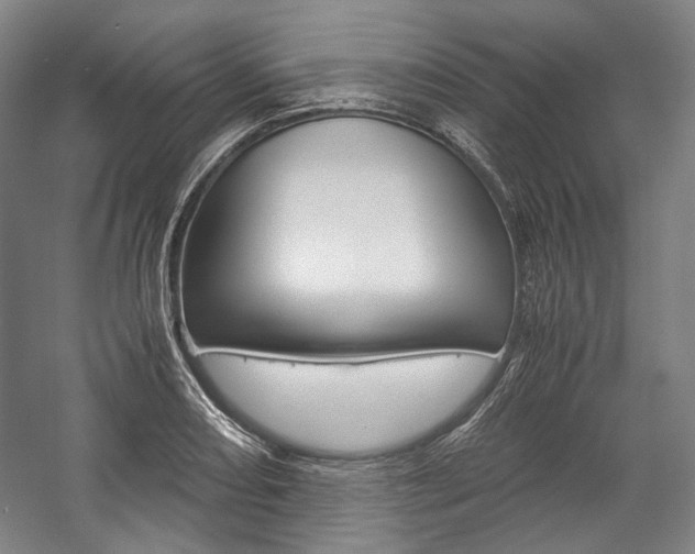 X0000057041082200509090810