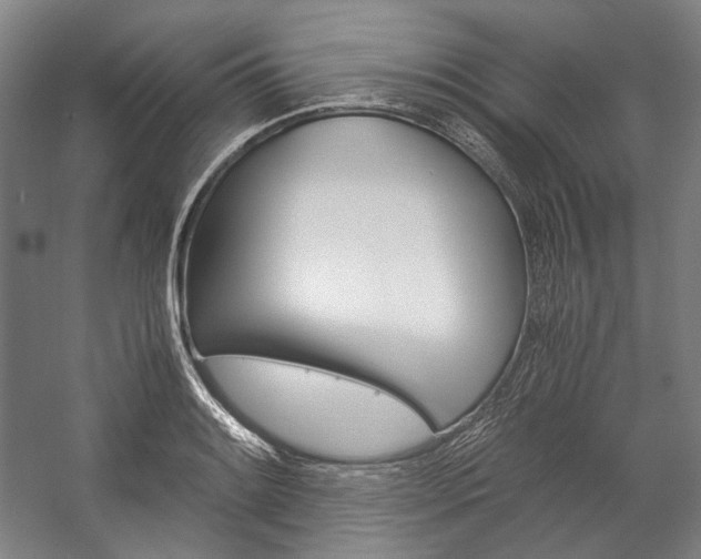 X0000057041084200509090810
