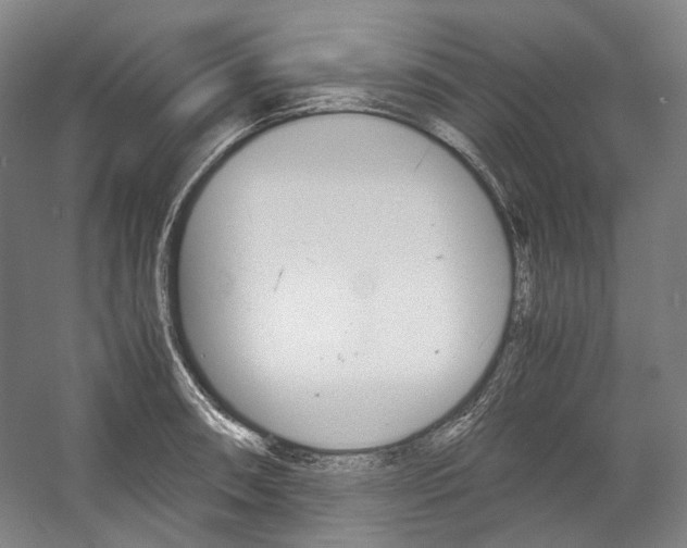 X0000057041090200509090810