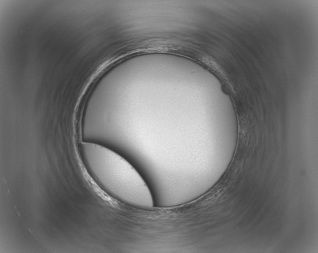 X0000057041091200509090810