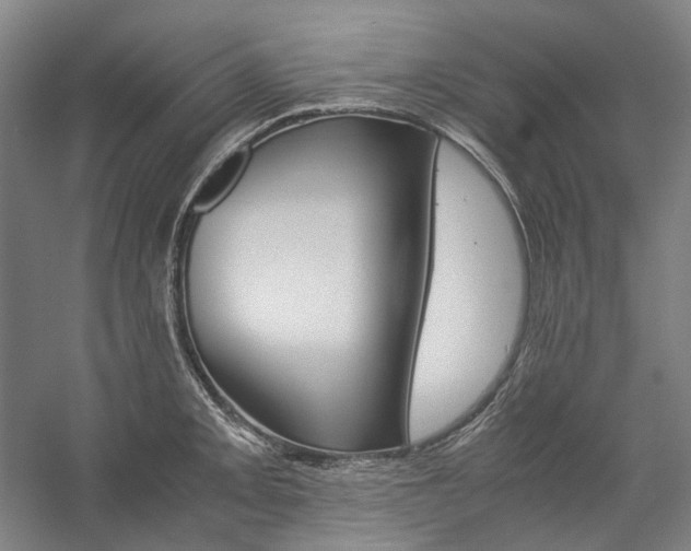 X0000057041093200509090810