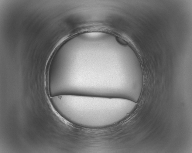 X0000057041095200509090810