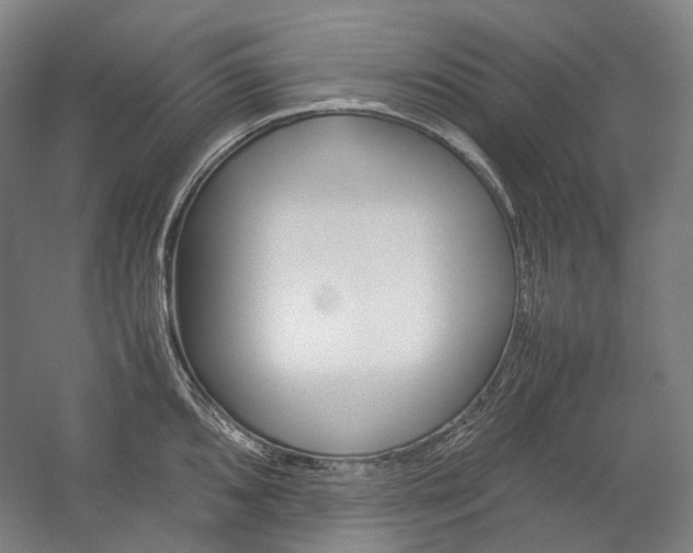 X0000057041096200509090810