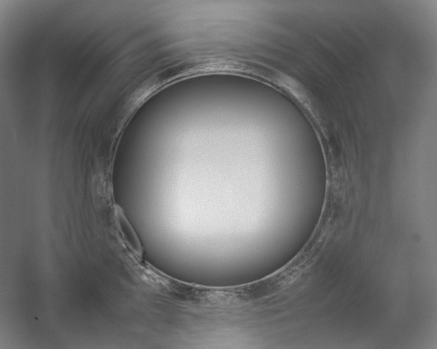 X0000057041097200509090810