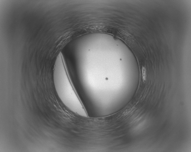 X0000057041107200509090809