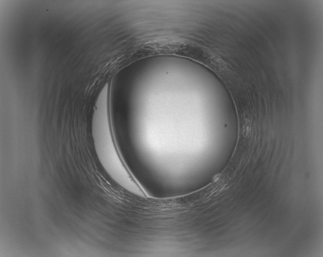 X0000057041108200509090809