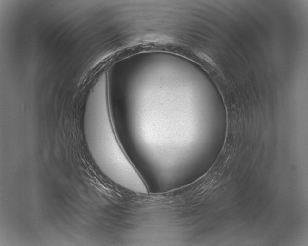 X0000057041112200509090809