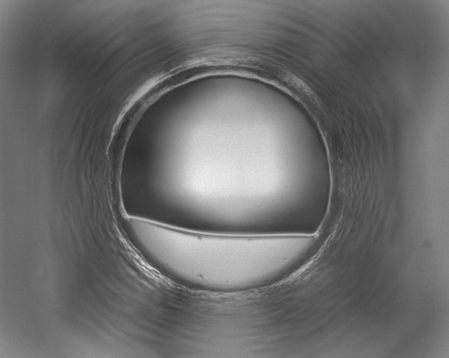 X0000057041114200509090809