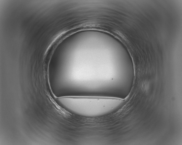 X0000057041115200509090809