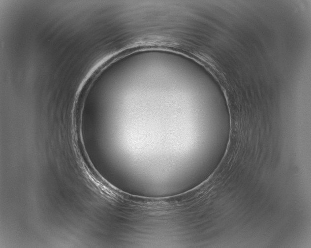 X0000057041120200509090809