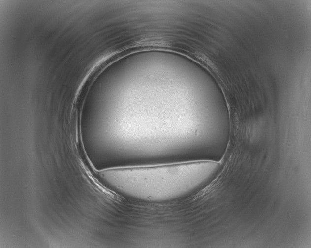 X0000057041123200509090809
