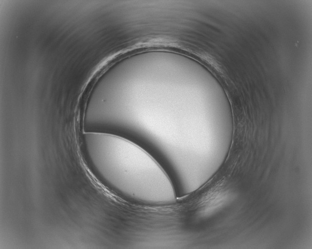 X0000057041126200509090809