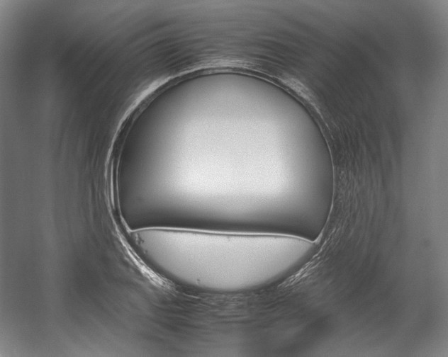 X0000057041127200509090809