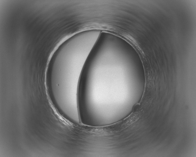 X0000057041128200509090809