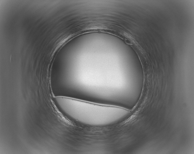 X0000057041129200509090809