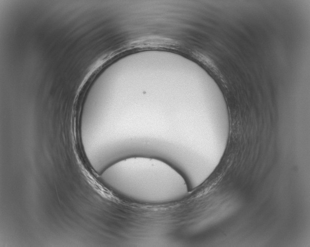 X0000057041130200509090809
