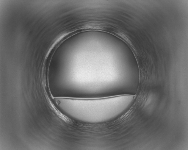 X0000057041131200509090809