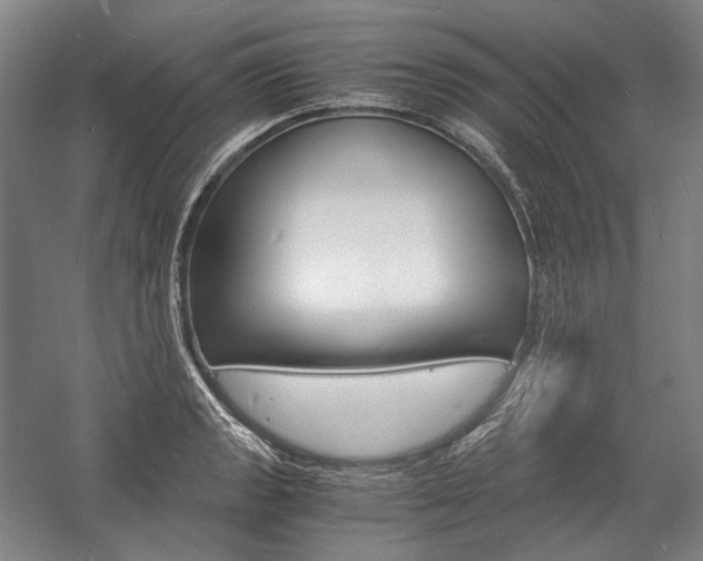 X0000057041133200509090809