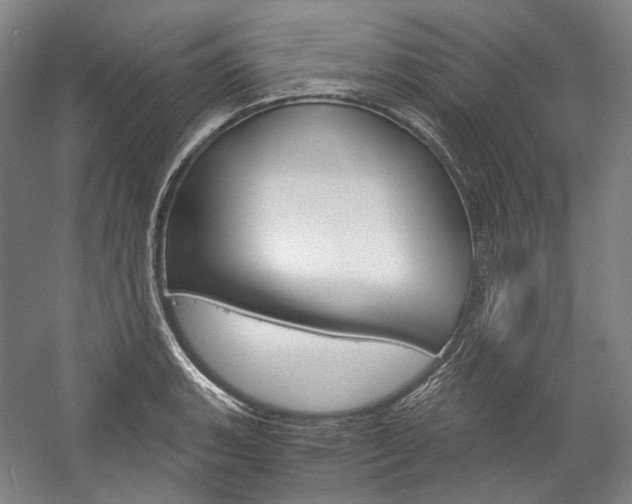 X0000057041135200509090809