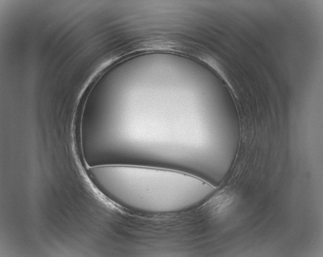 X0000057041139200509090809