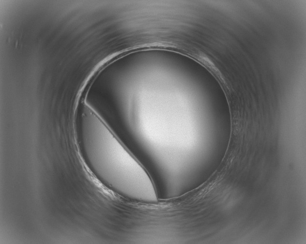 X0000057041140200509090809