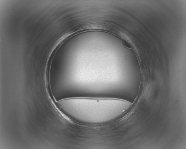 X0000057041141200509090809