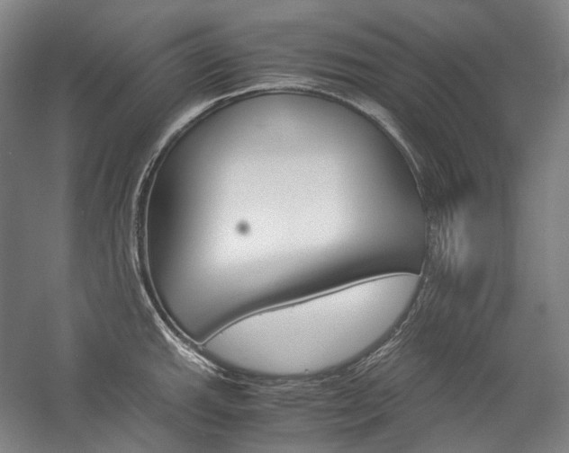 X0000057041143200509090809