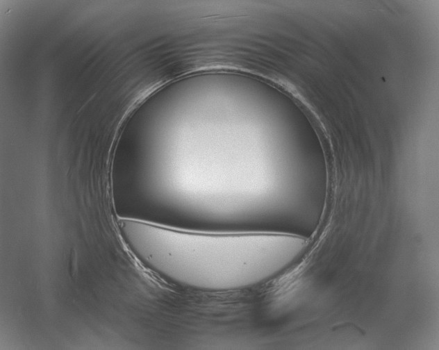 X0000057041145200509090809