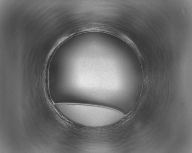 X0000057041146200509090809