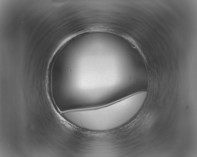 X0000057041147200509090810