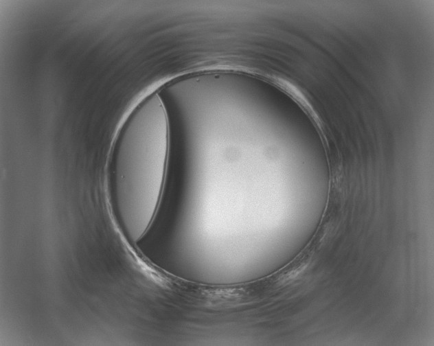 X0000057041149200509090810