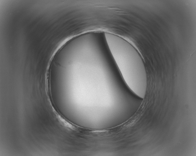 X0000057041151200509090810