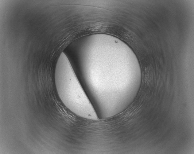 X0000057041154200509090809